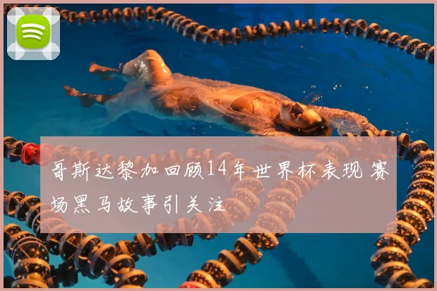 哥斯达黎加回顾14年世界杯表现 赛场黑马故事引关注