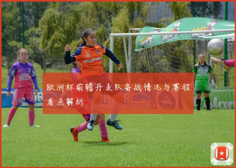 欧洲杯前瞻丹麦队备战情况与赛程看点解析