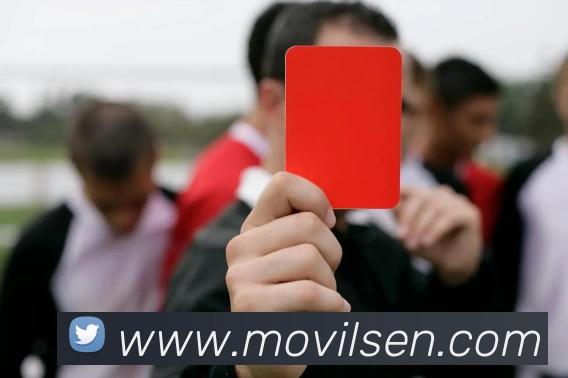 世界杯官网线上平台平台生态图